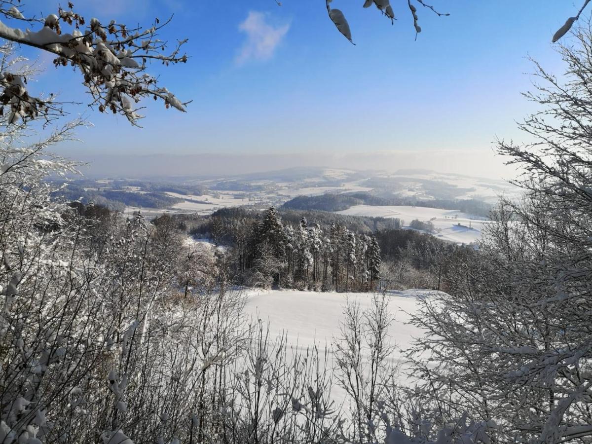 Loft Ueber Dem Bodensee Heiligenborn Екстериор снимка