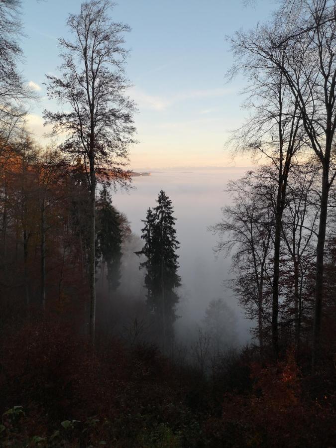 Loft Ueber Dem Bodensee Heiligenborn Екстериор снимка